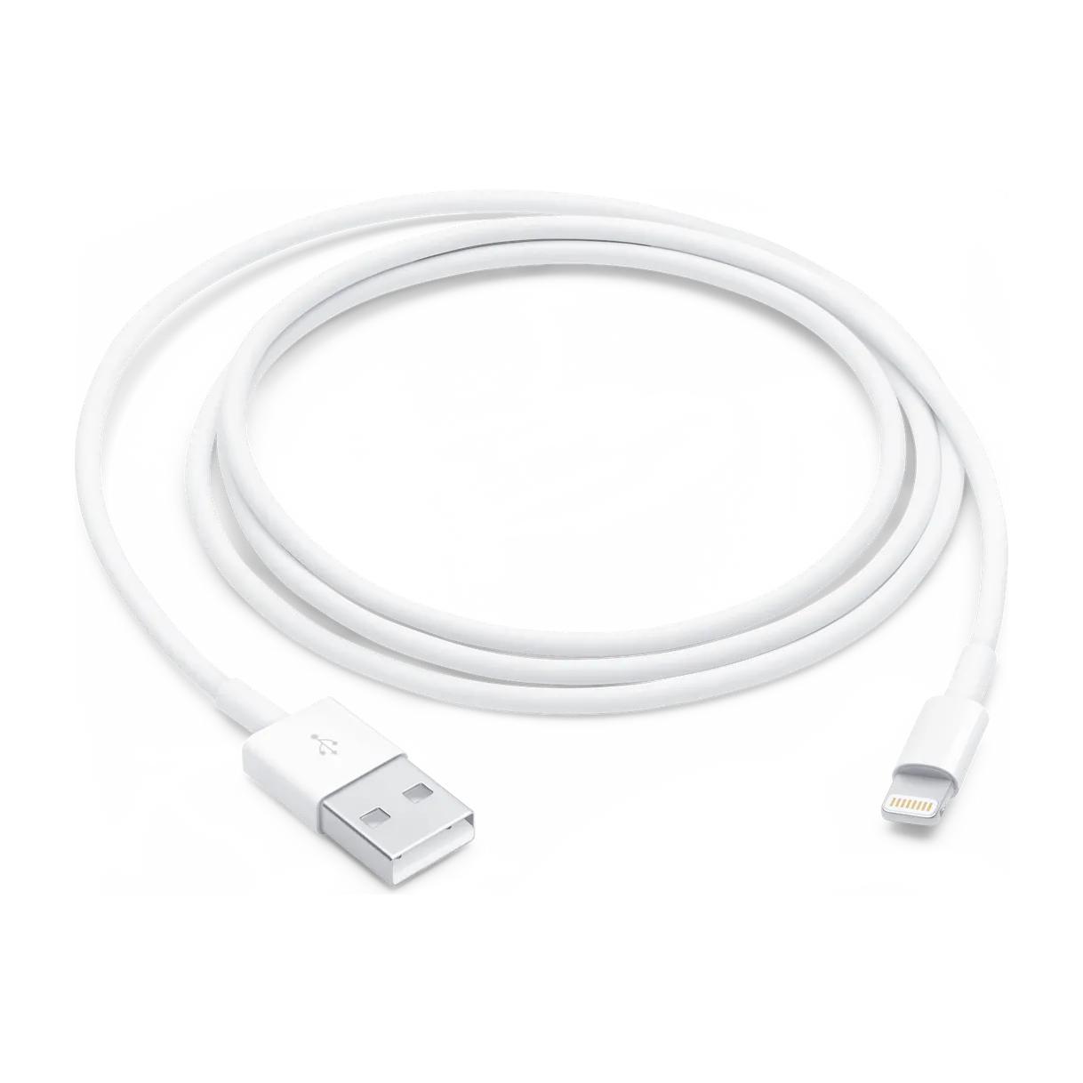 Lightning to USB Cable (1 m)