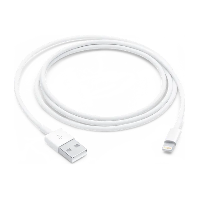 Lightning to USB Cable (1 m)